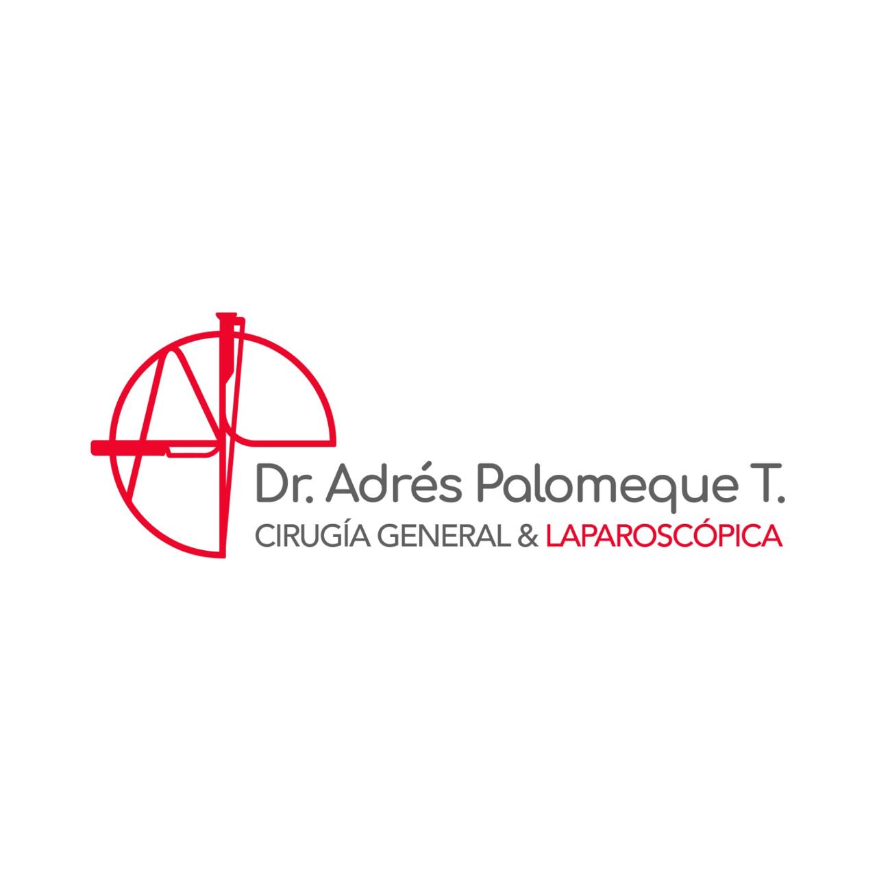 Dr. Andrés Palomeque T.